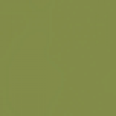Rio Base оливковый (дополнительный цвет)